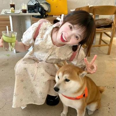 阿衰第四季